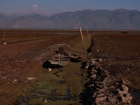 The water level of Wular Lake decreases, posing a threat to the livelihood of residents living around the lake in Sopore, Jammu and Kashmir,...