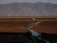 The water level of Wular Lake decreases, posing a threat to the livelihood of residents living around the lake in Sopore, Jammu and Kashmir,...