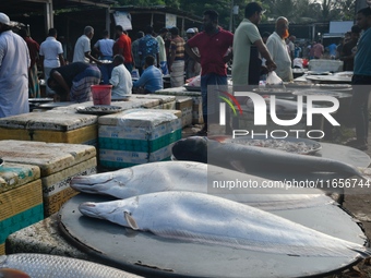 People gather at a wholesale fish market early in the morning near the Padma River in Mawa, Munshiganj, Bangladesh, on October 11, 2024. The...