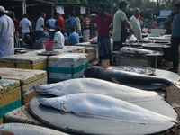 People gather at a wholesale fish market early in the morning near the Padma River in Mawa, Munshiganj, Bangladesh, on October 11, 2024. The...