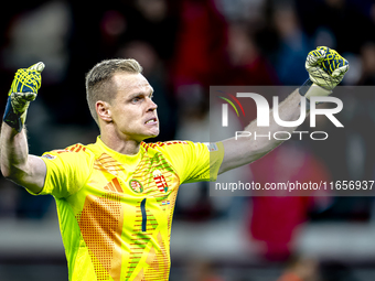 Hungary goalkeeper Denes Dibusz celebrates the goal of Hungary forward Roland Sallai during the match between Hungary and the Netherlands at...