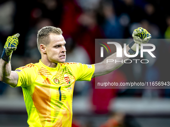 Hungary goalkeeper Denes Dibusz celebrates the goal of Hungary forward Roland Sallai during the match between Hungary and the Netherlands at...