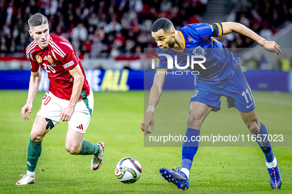 Hungary forward Roland Sallai and Netherlands forward Cody Gakpo participate in the match between Hungary and the Netherlands at the Puskas...