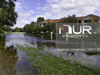 The street floods during Hurricane Milton in the Hunters Creek region, Florida, with water trapped between residents' homes and the lake, on...