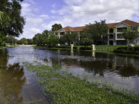 The street floods during Hurricane Milton in the Hunters Creek region, Florida, with water trapped between residents' homes and the lake, on...