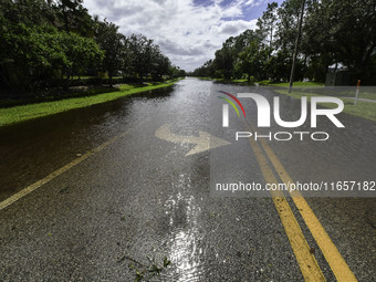 The street floods during Hurricane Milton in the Hunters Creek region, Florida, with water trapped between residents' homes and the lake, on...