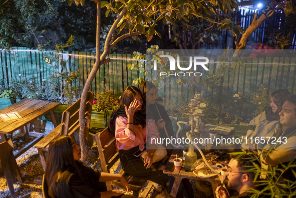 Iranian youths sit together at a garden-cafe in the city of Shiraz in Fars province, about 932 km (579 miles) south of Tehran, Iran, at nigh...