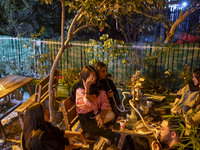 Iranian youths sit together at a garden-cafe in the city of Shiraz in Fars province, about 932 km (579 miles) south of Tehran, Iran, at nigh...