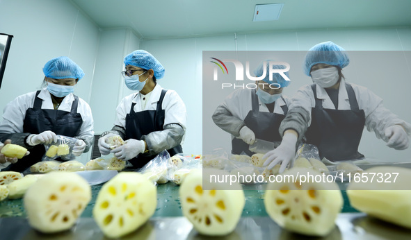 Workers process fresh and purified vegetables for major merchants at a purification processing and distribution line in Zhangye, China, on O...