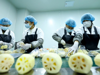 Workers process fresh and purified vegetables for major merchants at a purification processing and distribution line in Zhangye, China, on O...