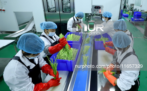 Workers process fresh and purified vegetables for major merchants at a purification processing and distribution line in Zhangye, China, on O...