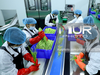 Workers process fresh and purified vegetables for major merchants at a purification processing and distribution line in Zhangye, China, on O...