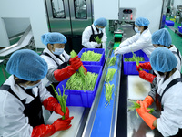 Workers process fresh and purified vegetables for major merchants at a purification processing and distribution line in Zhangye, China, on O...