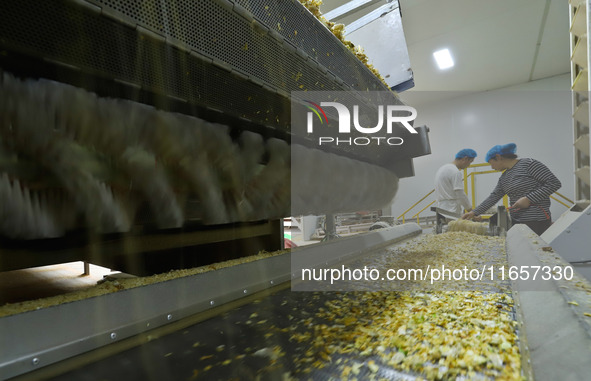 Staff members check the operation of dehydrated onion cubes at a production line for processing and distribution of purified vegetables in Z...