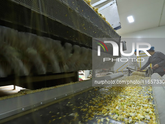 Staff members check the operation of dehydrated onion cubes at a production line for processing and distribution of purified vegetables in Z...