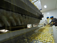 Staff members check the operation of dehydrated onion cubes at a production line for processing and distribution of purified vegetables in Z...