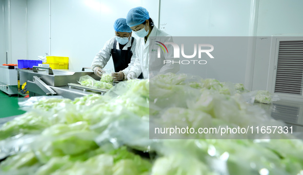 Workers process fresh and purified vegetables for major merchants at a purification processing and distribution line in Zhangye, China, on O...