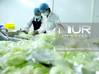 Workers process fresh and purified vegetables for major merchants at a purification processing and distribution line in Zhangye, China, on O...