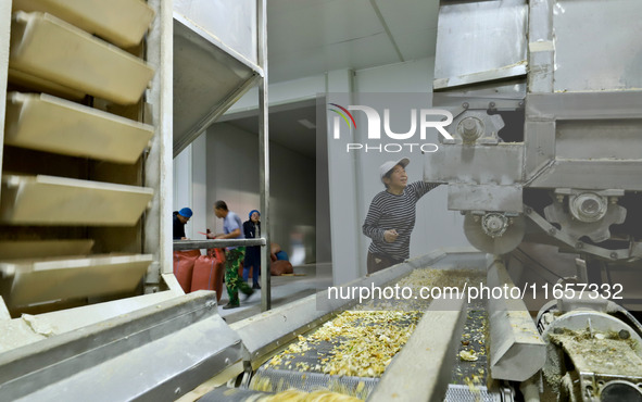 Staff members check the operation of dehydrated onion cubes at a production line for processing and distribution of purified vegetables in Z...