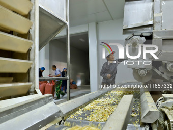 Staff members check the operation of dehydrated onion cubes at a production line for processing and distribution of purified vegetables in Z...