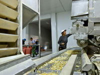 Staff members check the operation of dehydrated onion cubes at a production line for processing and distribution of purified vegetables in Z...