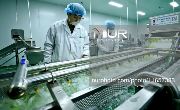 Workers process fresh and purified vegetables for major merchants at a purification processing and distribution line in Zhangye, China, on O...