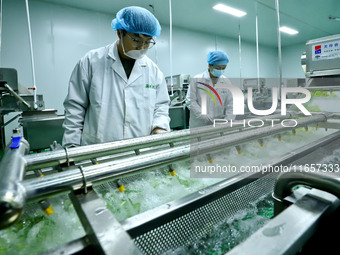 Workers process fresh and purified vegetables for major merchants at a purification processing and distribution line in Zhangye, China, on O...