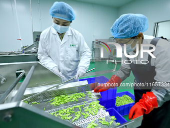 Workers process fresh and purified vegetables for major merchants at a purification processing and distribution line in Zhangye, China, on O...