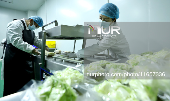 Workers process fresh and purified vegetables for major merchants at a purification processing and distribution line in Zhangye, China, on O...