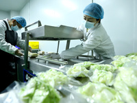 Workers process fresh and purified vegetables for major merchants at a purification processing and distribution line in Zhangye, China, on O...