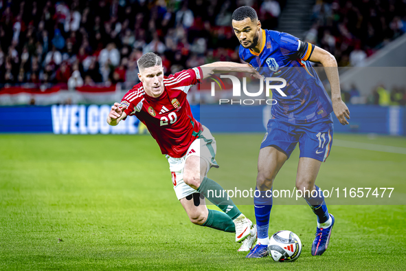 Hungary forward Roland Sallai and Netherlands forward Cody Gakpo participate in the match between Hungary and the Netherlands at the Puskas...