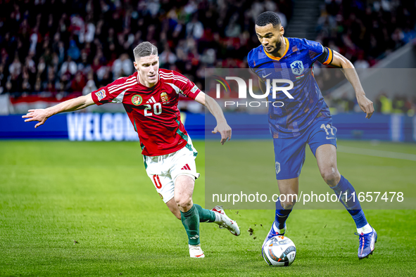 Hungary forward Roland Sallai and Netherlands forward Cody Gakpo participate in the match between Hungary and the Netherlands at the Puskas...