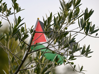 BAYEUX, FRANCE - OCTOBER 11: 
An olive tree stands at the Reporters’ Memorial, symbolizing a tribute to all Palestinian journalists killed i...