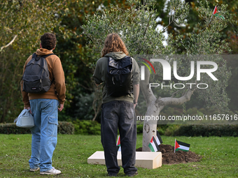 BAYEUX, FRANCE - OCTOBER 11: 
An olive tree stands at the Reporters’ Memorial, symbolizing a tribute to all Palestinian journalists killed i...