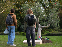 BAYEUX, FRANCE - OCTOBER 11: 
An olive tree stands at the Reporters’ Memorial, symbolizing a tribute to all Palestinian journalists killed i...