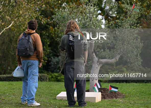 BAYEUX, FRANCE - OCTOBER 11: 
An olive tree stands at the Reporters’ Memorial, symbolizing a tribute to all Palestinian journalists killed i...