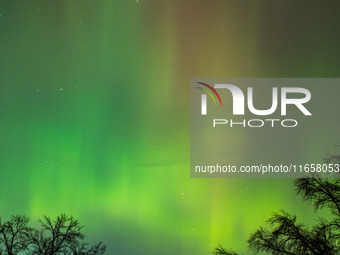 The Aurora Borealis, or Northern Lights, is visible over Chisago City, Minnesota, due to a major geomagnetic storm and heightened solar acti...