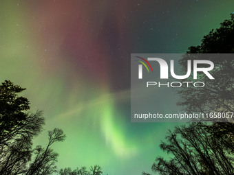 The Aurora Borealis, or Northern Lights, is visible over Chisago City, Minnesota, due to a major geomagnetic storm and heightened solar acti...