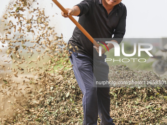 A farmer dries peanuts in Beiwuji village of Huai'an city, East China's Jiangsu province, on October 12, 2024. (