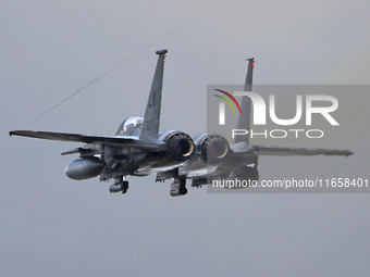 A McDonnell Douglas F-15 Eagle aircraft of the United States Air Force participates in the Tactical Leadership Programme in Albacete, Spain,...