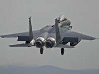 A McDonnell Douglas F-15 Eagle aircraft of the United States Air Force participates in the Tactical Leadership Programme in Albacete, Spain,...