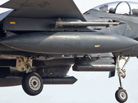 A McDonnell Douglas F-15 Eagle aircraft of the United States Air Force participates in the Tactical Leadership Programme in Albacete, Spain,...