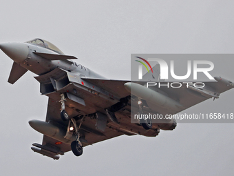 Eurofighter Typhoon EF2000 aircraft of the Spain Air Force participate in the Tactical Leadership Programme in Albacete, Spain, on September...