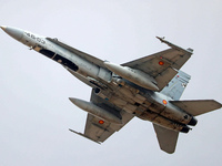 A McDonnell Douglas F/A-18A+ Hornet aircraft of the Spanish Air Force participates in the Tactical Leadership Programme in Albacete, Spain,...