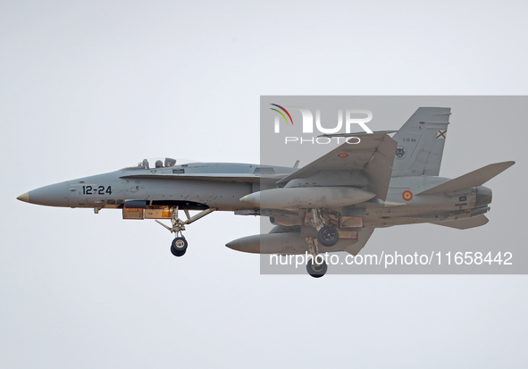 McDonnell Douglas F/A-18A Hornet aircraft of the Spain Air Force participate in the Tactical Leadership Programme in Albacete, Spain, on Sep...