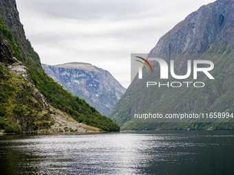 A view of the Nærøyfjord in Gudvangen, Norway, on September 17, 2024. The village of Gudvangen is a popular tourist destination and is locat...