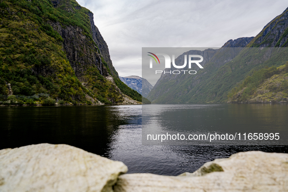 A view of the Nærøyfjord in Gudvangen, Norway, on September 17, 2024. The village of Gudvangen is a popular tourist destination and is locat...