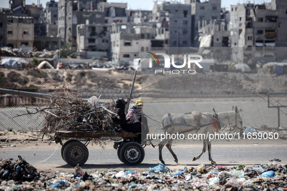 Palestinian women ride a donkey-drawn cart amid the conflict between Israel and Hamas in Khan Younis, southern Gaza Strip, on October 12, 20...