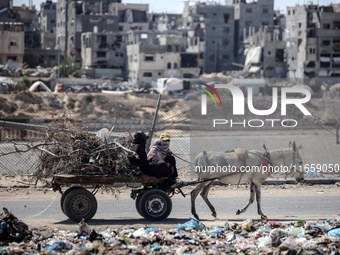 Palestinian women ride a donkey-drawn cart amid the conflict between Israel and Hamas in Khan Younis, southern Gaza Strip, on October 12, 20...