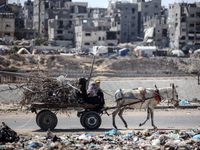 Palestinian women ride a donkey-drawn cart amid the conflict between Israel and Hamas in Khan Younis, southern Gaza Strip, on October 12, 20...